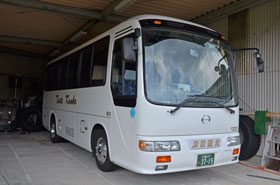 中型